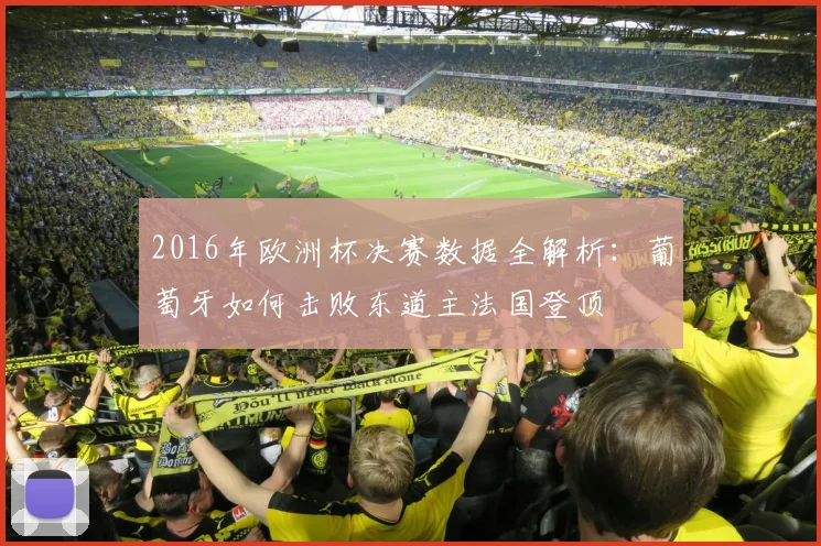 2016年欧洲杯决赛数据全解析：葡萄牙如何击败东道主法国登顶