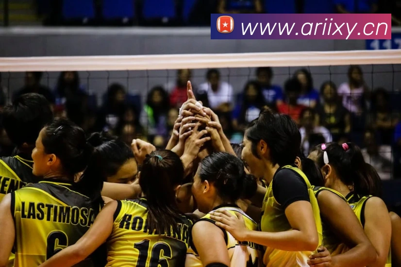 leyu乐鱼网页版在线登录APP 封面图